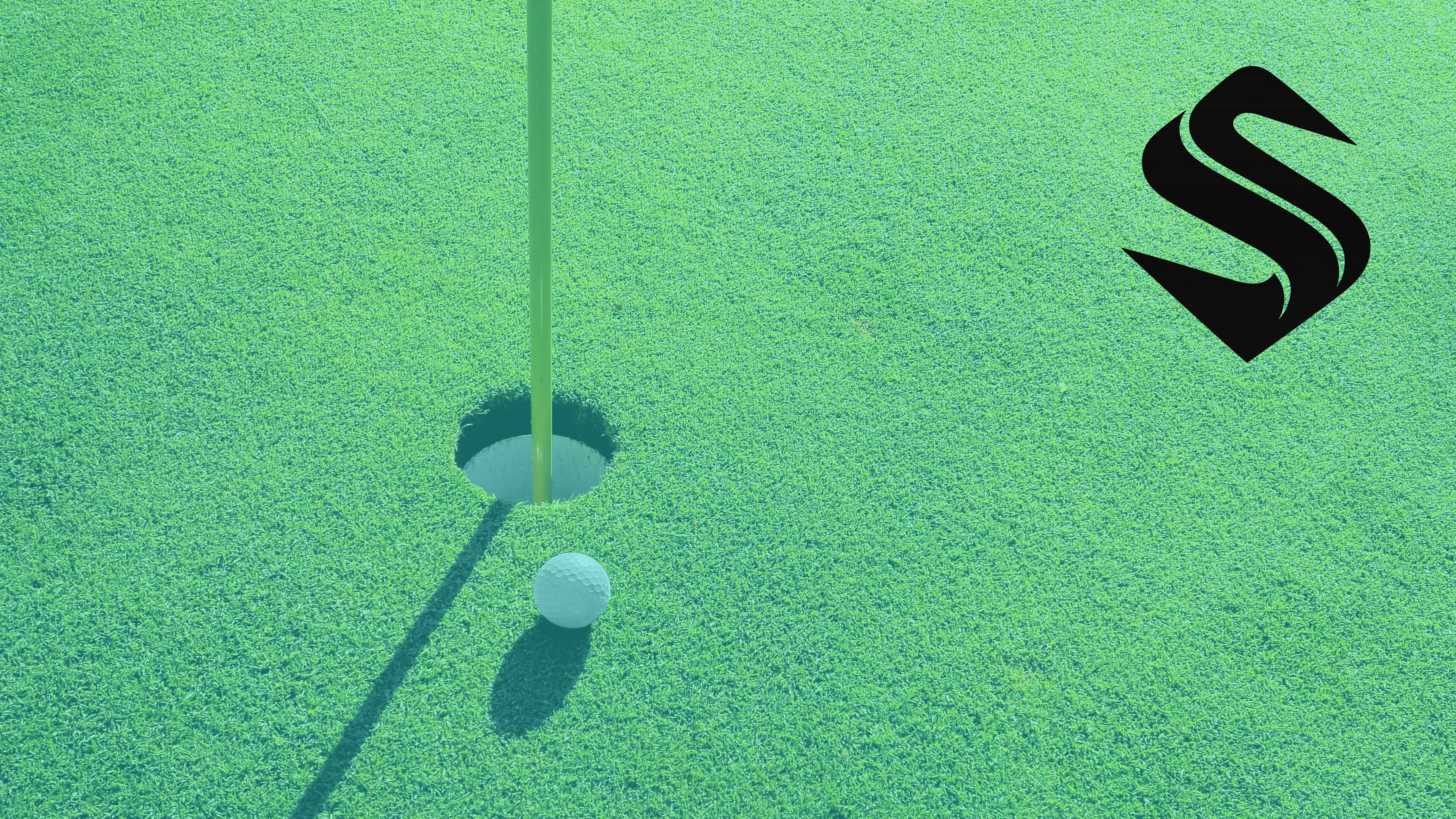 golf ball and clubs at the hole CRM data on wall monitors, a rack of golf clubs and balls behind him, and a Selkire logo displayed.